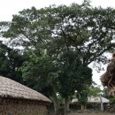 제주 성읍마을 한봉일 고택 이미지