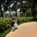 아리랑아파트 놀이터 이미지