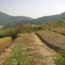 사곡농장 이미지