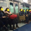 자연1호 Daum카페