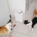 덕구놀이터 이미지