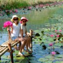 한국신랑베트남신부이야기 이미지