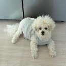 한주프라자 앞 | 고양 어버이날 선물 성공적인 예쁘고 풍성한 러븀플레르 후기