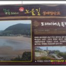 대초진료소 Daum카페