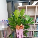 미추홀세무회계사무소 이미지