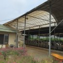 정남목장 이미지