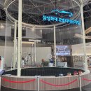 삼성화재 모빌리티 뮤지엄 | [용인] 삼성화재 모빌리티 뮤지엄 솔직 후기, 자동차 좋아하는 아이와 가볼 만한 체험 명소