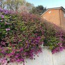 나주반찬 이미지