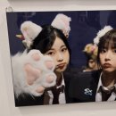 카페레온 이미지