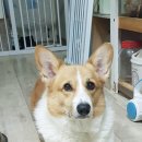 에코맘 협동조합 이미지