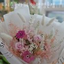 포시즌플라워 이미지