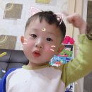상하카센타 이미지
