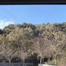 사성암 제1주차장 죽연 화장실 | 전남 구례 사성암 | 가을 단풍명소 이색사찰 추천