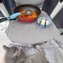 비엔동물전문의료센터 이미지