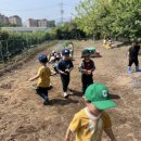 딸기아트어린이집 이미지