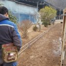 가가홀스 이미지