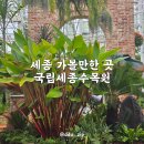 세종 가볼만한곳 국립세종수목원 쥐라기가든 다양한 볼거리 많아요