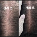 플러피비 네이버블로그