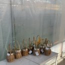 영목장 | [아이랑 갈만한 곳] 파주 신상 목장 “룰루목장” 다녀온 후기 - 목장 먹이주기체험, 모래놀이, 감자...