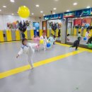 한국대룡태권도 이미지