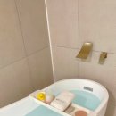 스파다미르 이미지