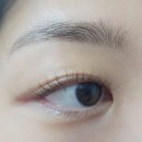 이끌림(E끌림)