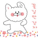 (주)올네이쳐 이미지