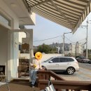 팀커피로스터스 이미지