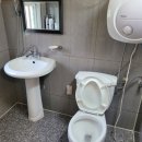 가평댕댕이애견펜션&글램핑골드 이미지