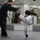 건강한태권도교육관 이미지