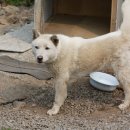 캠플레이 이미지