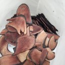 숲한의원 이미지