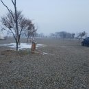 용인축협 한우랜드 이미지