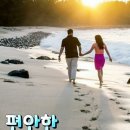 돌아와요 부산항에 Daum카페