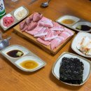 밍크고래와 참다랑어 이미지