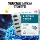 브레인스톰 이미지