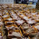 목포참홍어 이미지