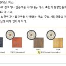 미용학개론 이미지