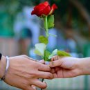 꽃이야기 (황혼의 로맨스) 이미지