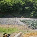 법전면사무소 이미지