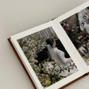 세상담 | W4 : [아이폰 스냅] 대구 담스냅 계약 후기