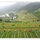 푸른솔주유소 이미지