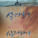 새샘씽크