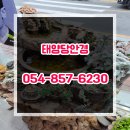 안동 40년 오래된 기술자 태양당안경