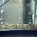 바다향그대로 이미지