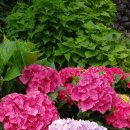 준이농장 이미지