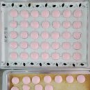 사파동241 | 사파동 하이루루 성인클래스(가나슈 마카롱)