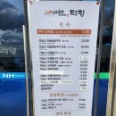 241007-13 일기 / 너공 / 의성조문국박물관 상상놀이터 / 군위 카페댐댐 / 합천 황매산억새축제