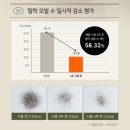 댕기머리 생모력 모근진액 탈모두피앰플 추천후기