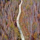 고래불관광지 이미지